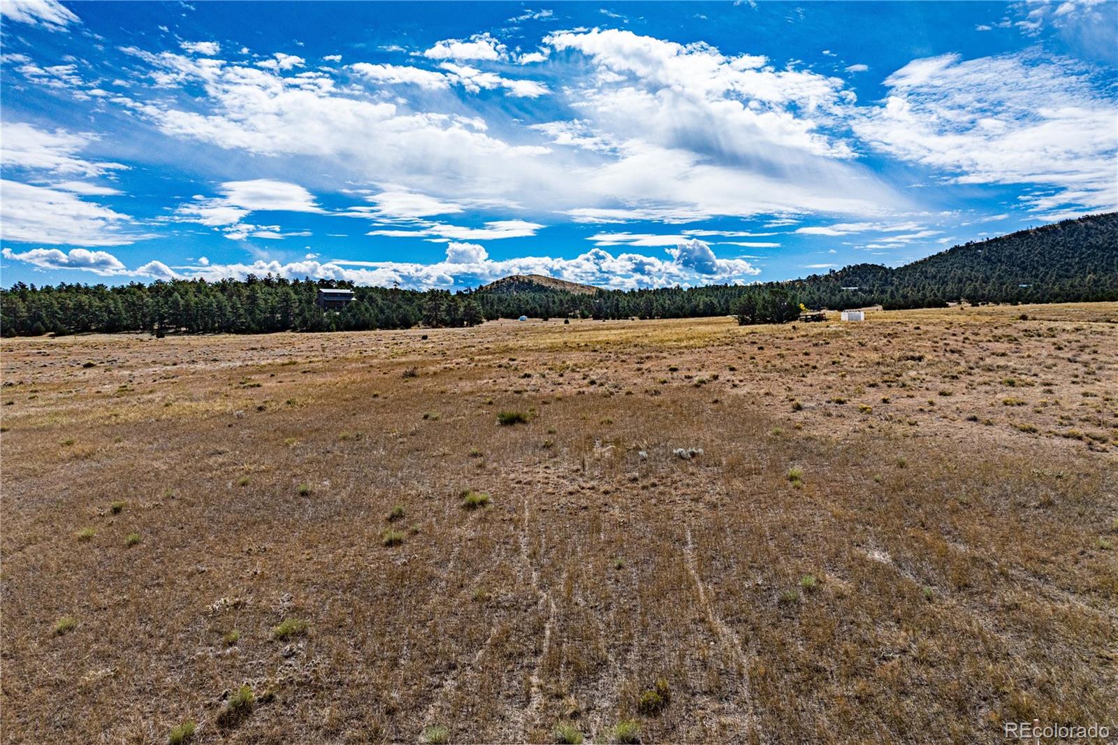 464 Burroback Court Cotopaxi CO 81223