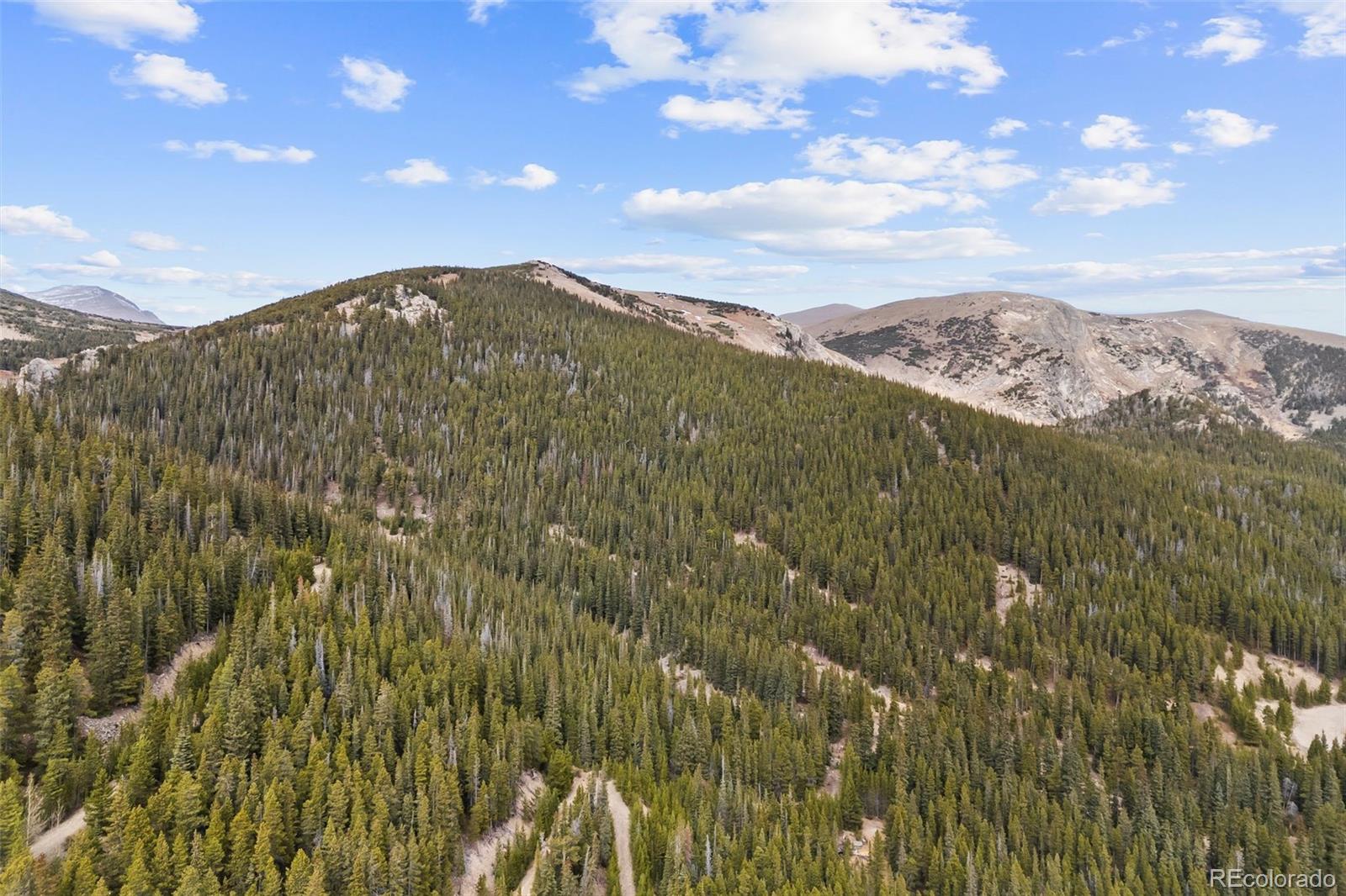 773 Harris Circle Idaho Springs CO 80452