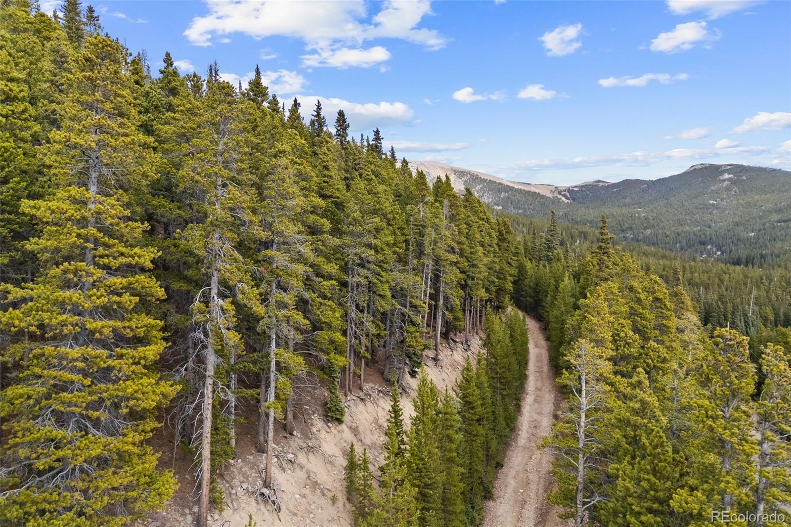 773 Harris Circle Idaho Springs CO 80452