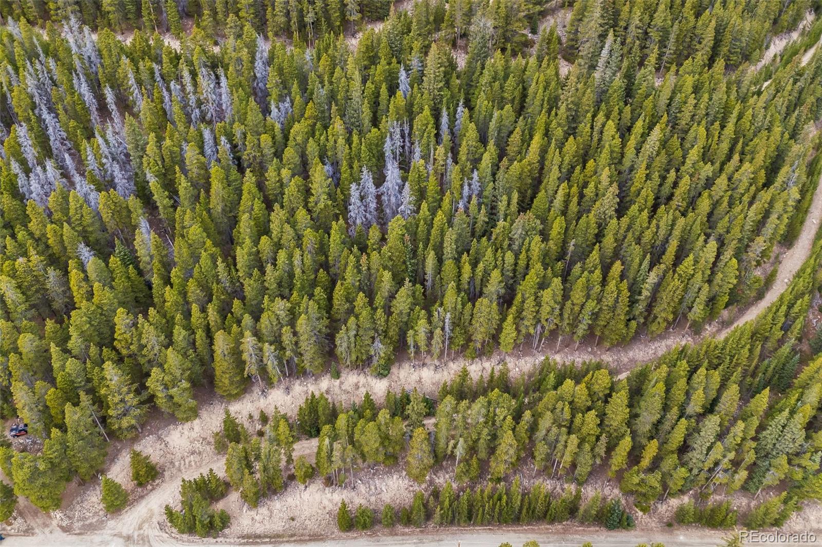 773 Harris Circle Idaho Springs CO 80452
