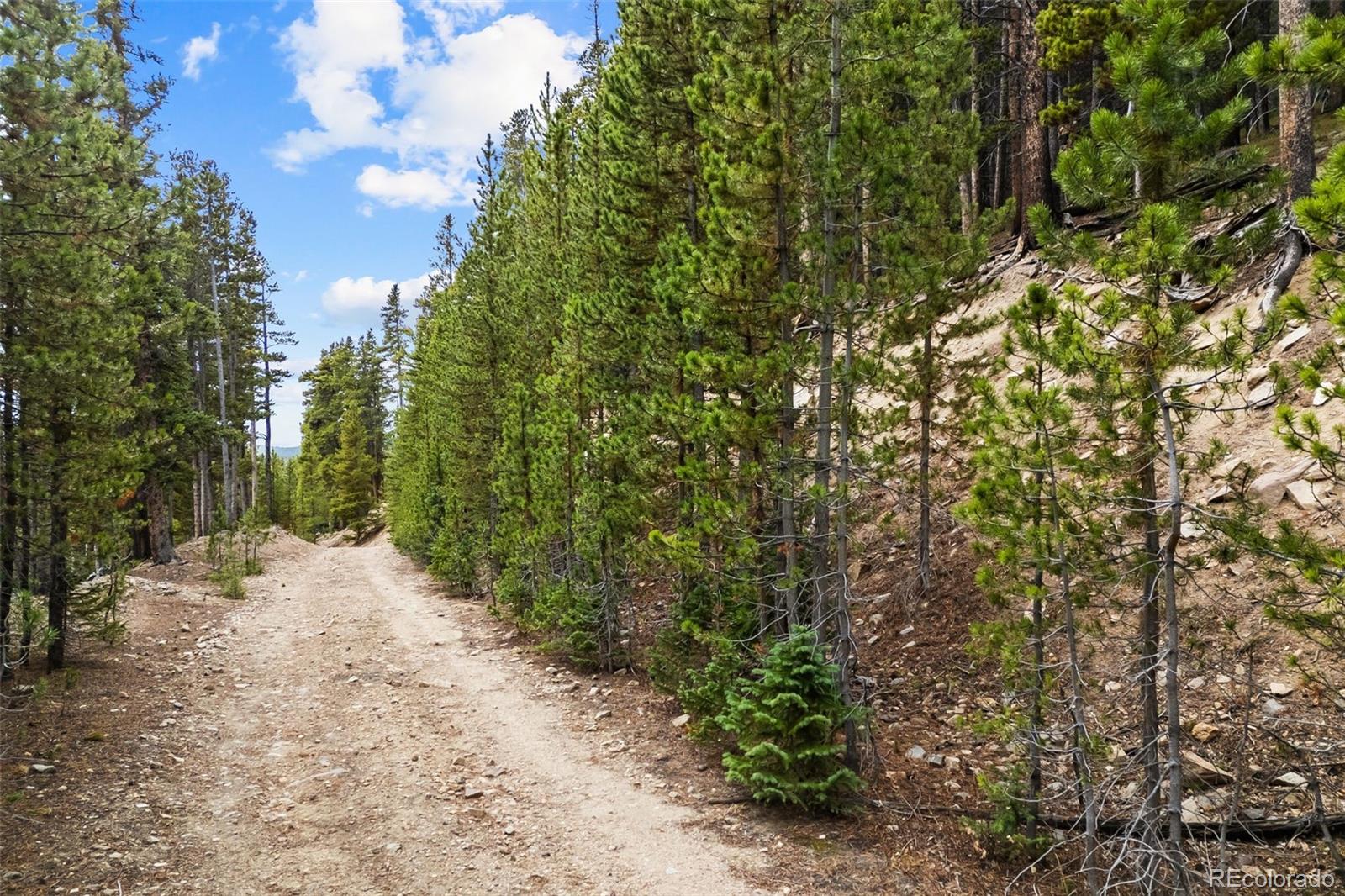 773 Harris Circle Idaho Springs CO 80452