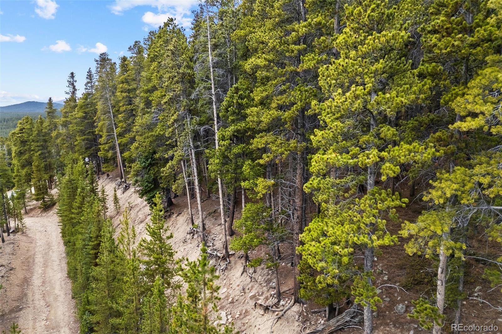 773 Harris Circle Idaho Springs CO 80452