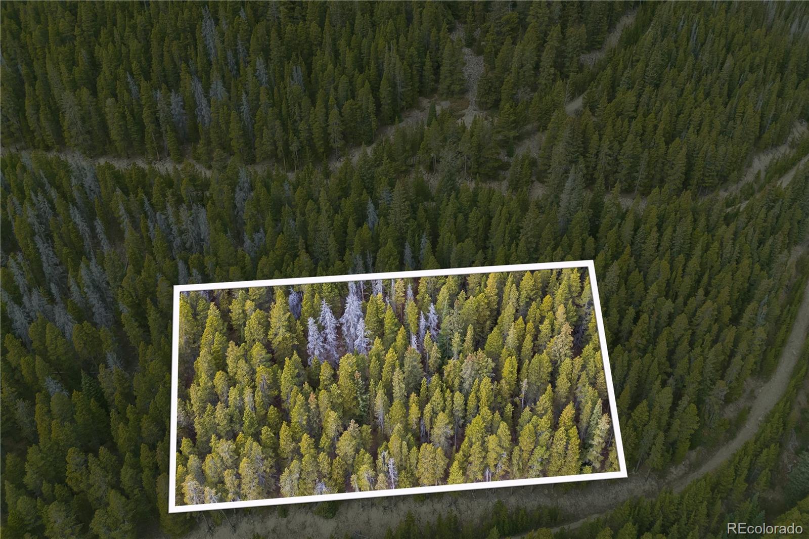 773 Harris Circle Idaho Springs CO 80452