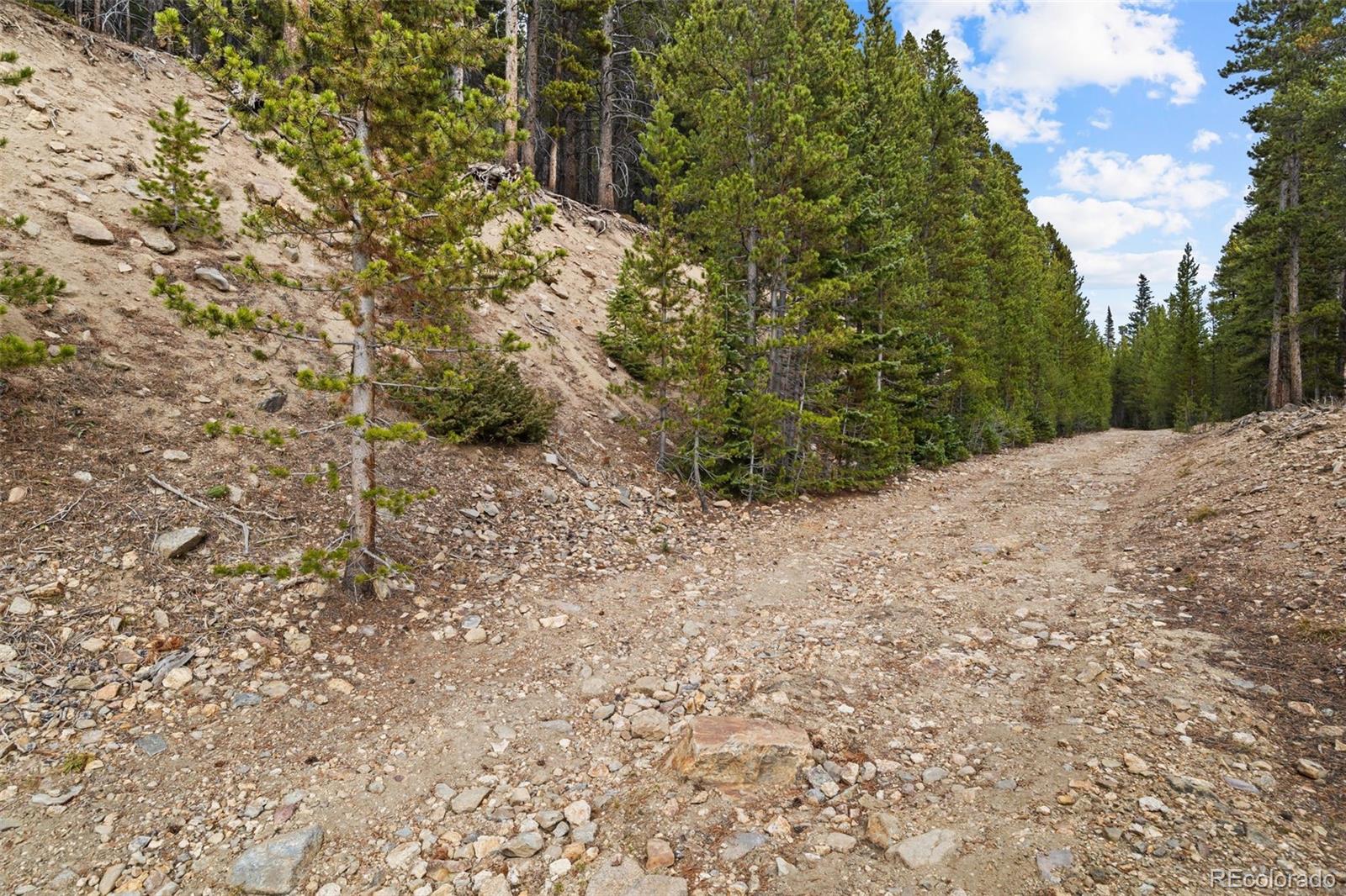 773 Harris Circle Idaho Springs CO 80452