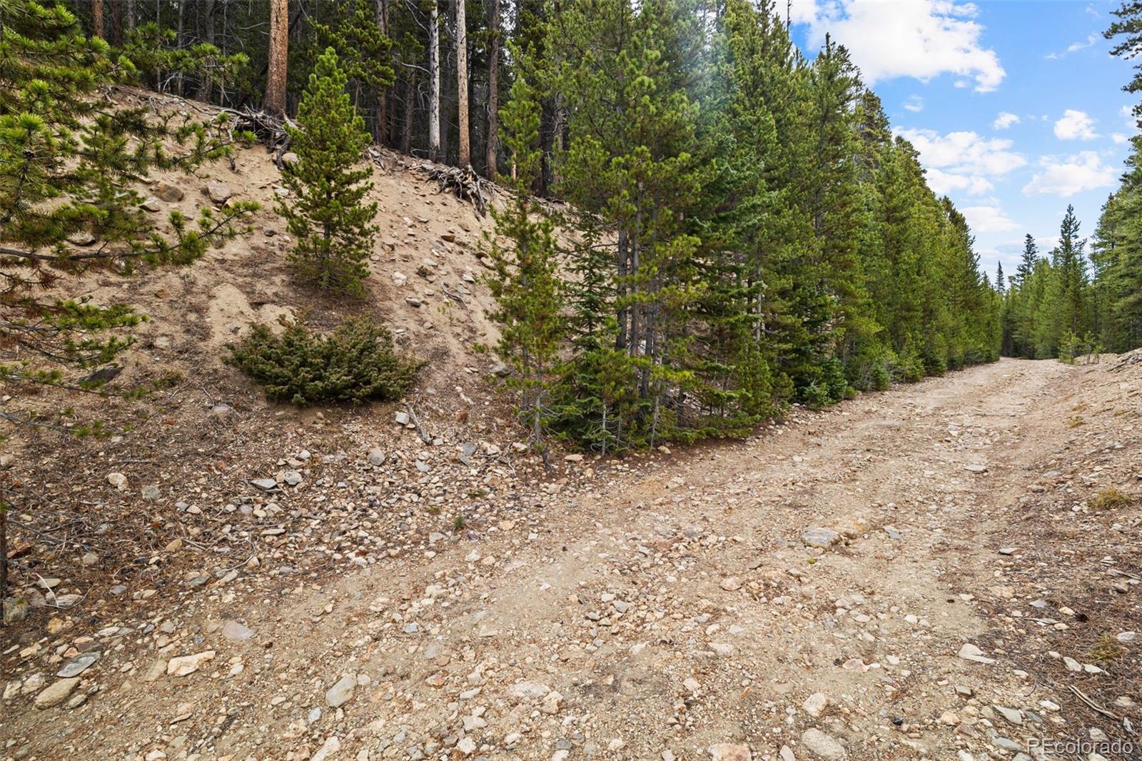 773 Harris Circle Idaho Springs CO 80452