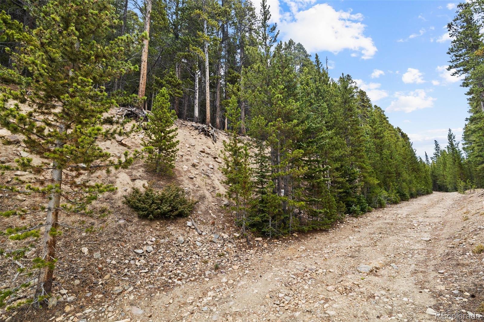 773 Harris Circle Idaho Springs CO 80452