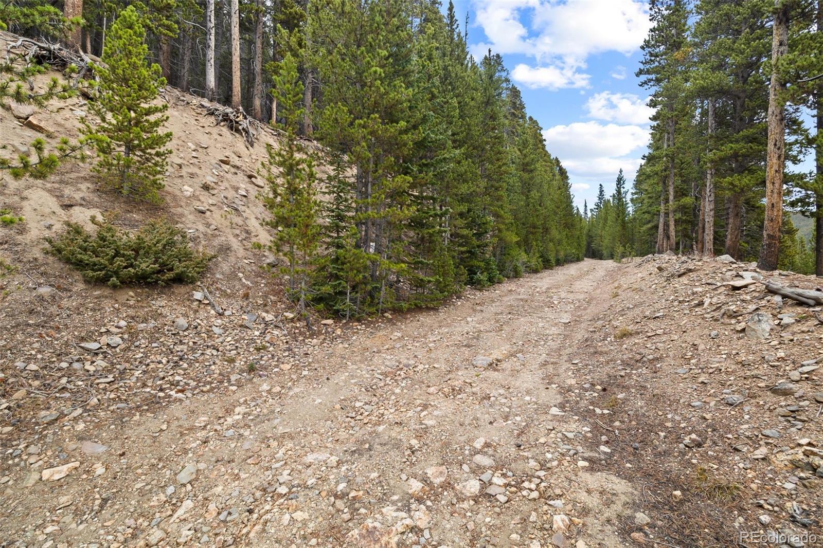 773 Harris Circle Idaho Springs CO 80452