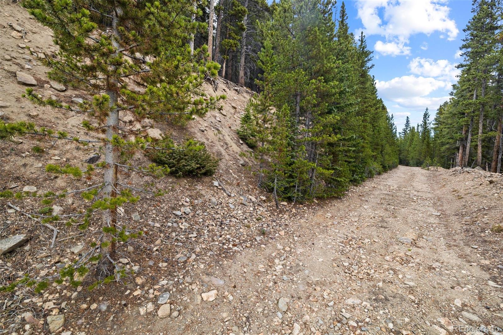 773 Harris Circle Idaho Springs CO 80452