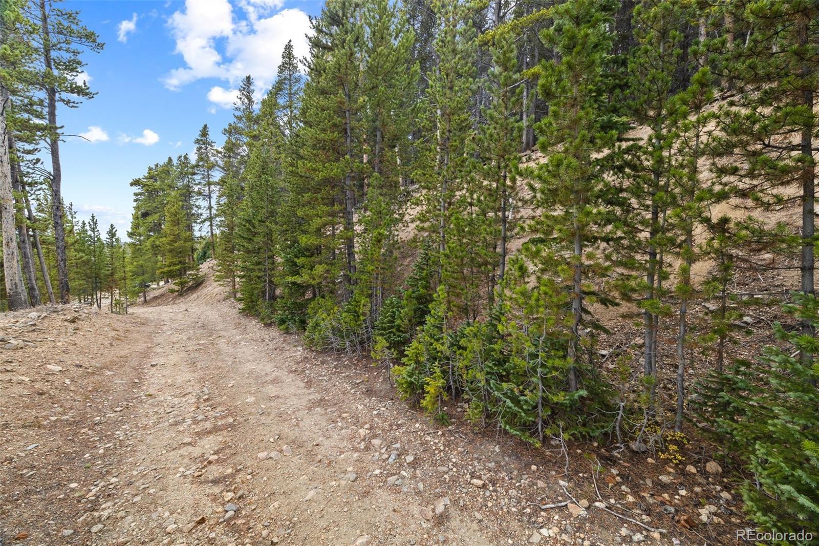 773 Harris Circle Idaho Springs CO 80452