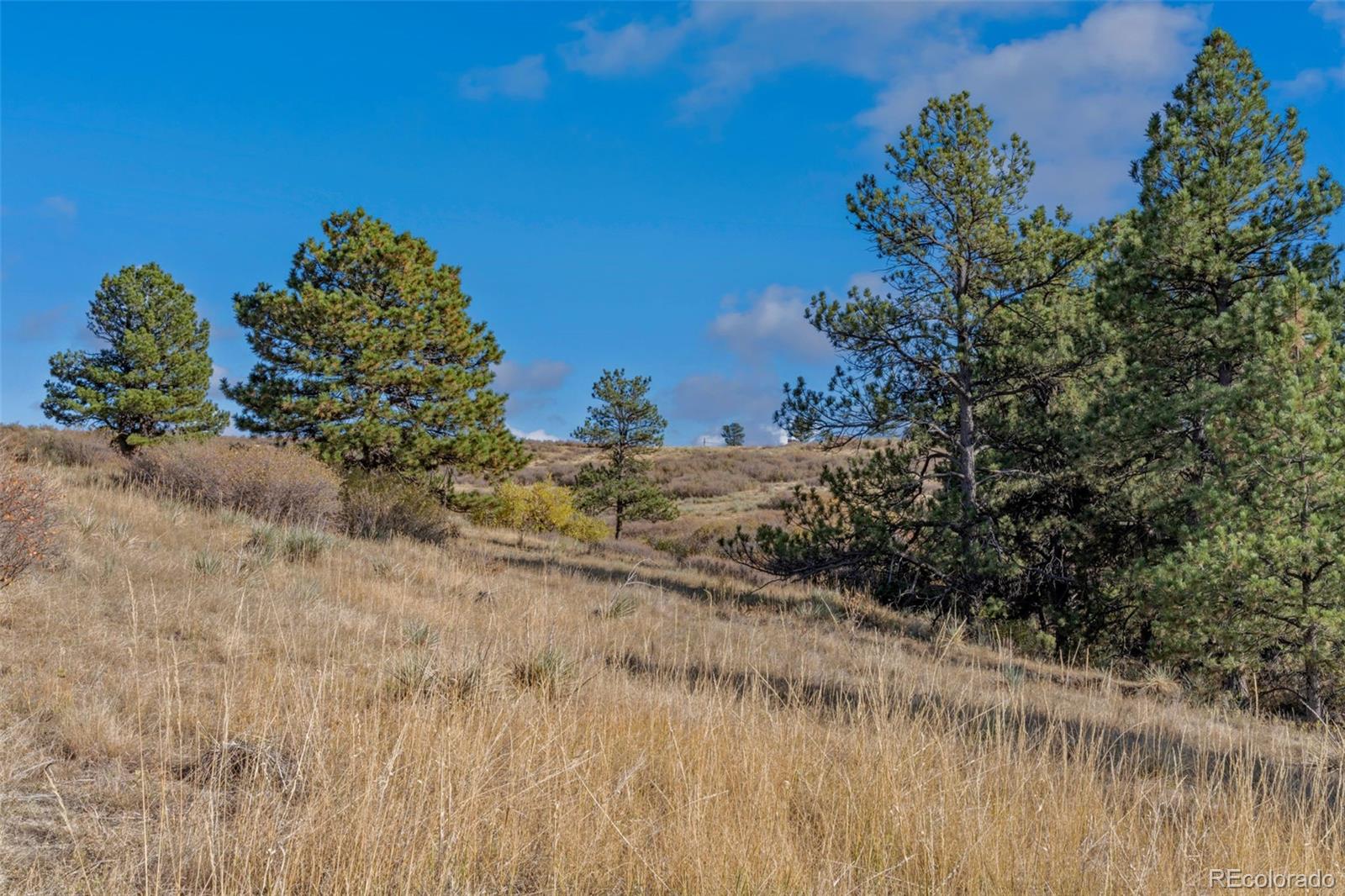 13500 Pine Drive Parker CO 80138