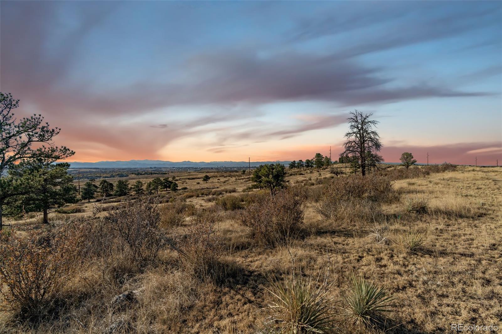13500 Pine Drive Parker CO 80138