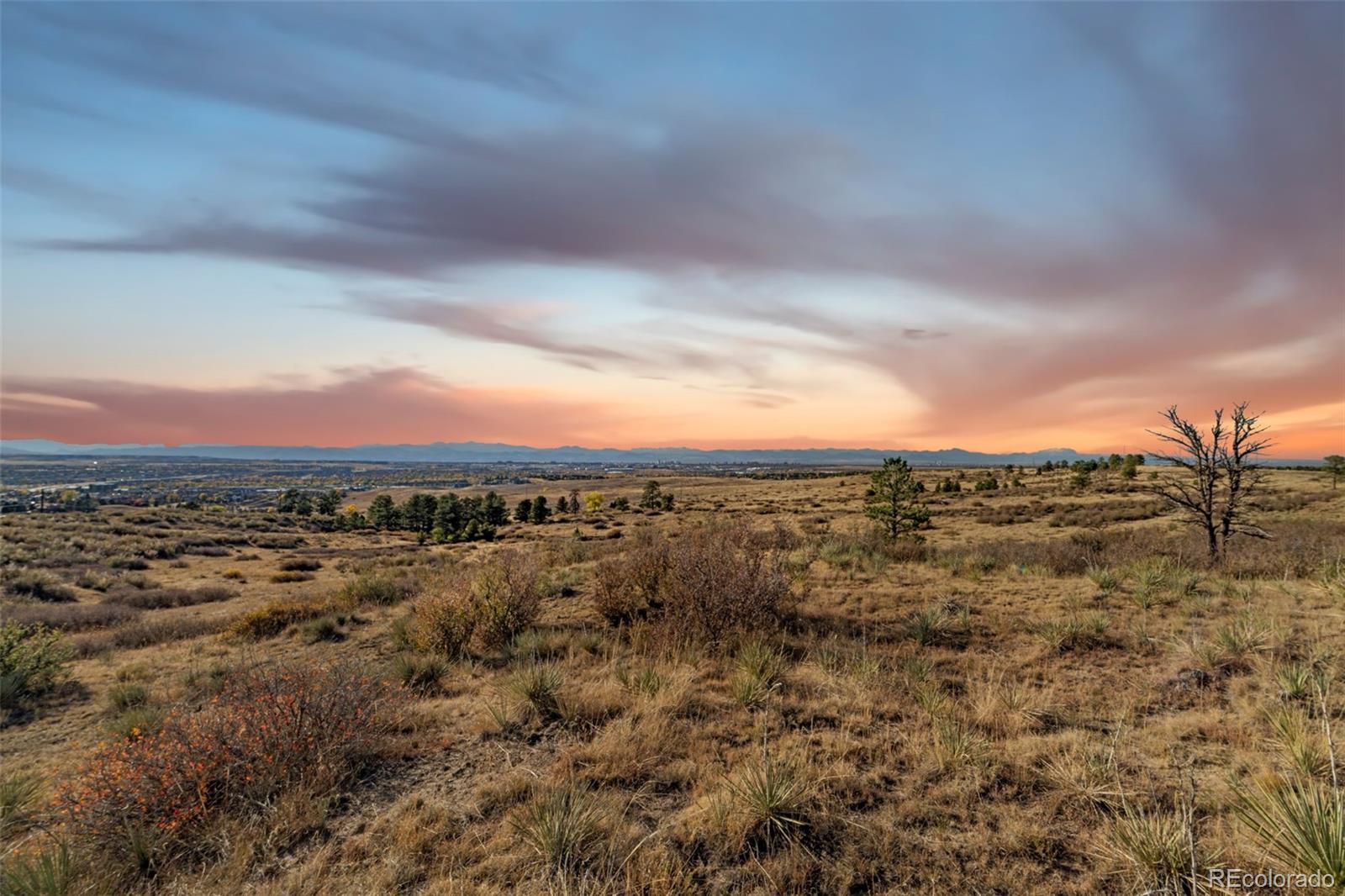 13500 Pine Drive Parker CO 80138
