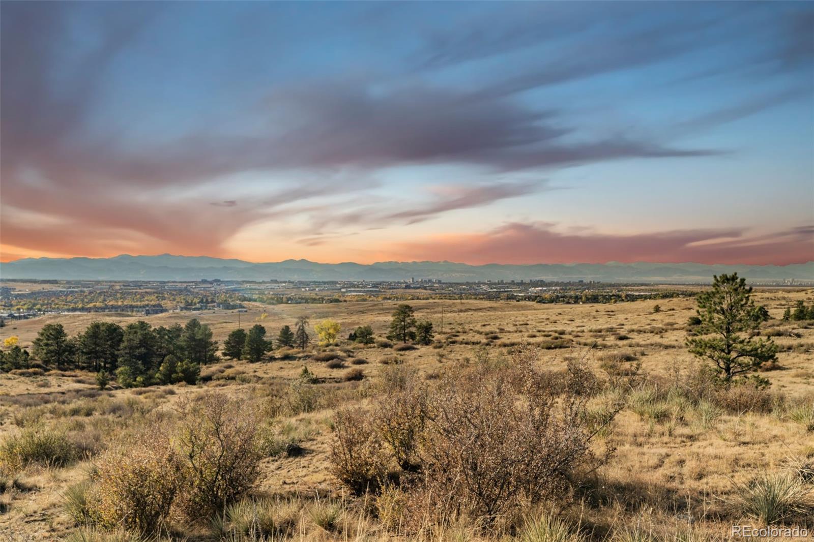 13500 Pine Drive Parker CO 80138