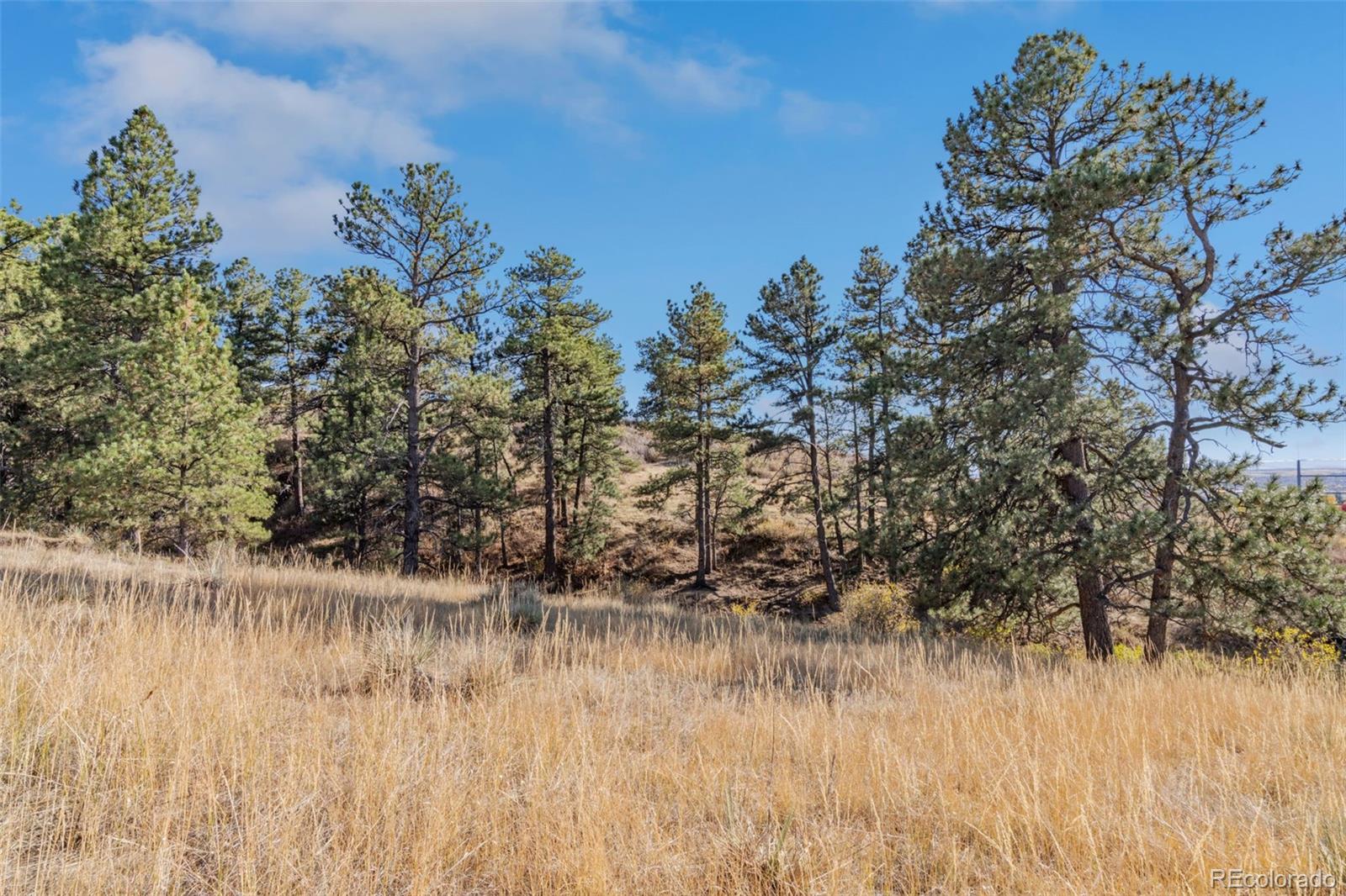 13500 Pine Drive Parker CO 80138