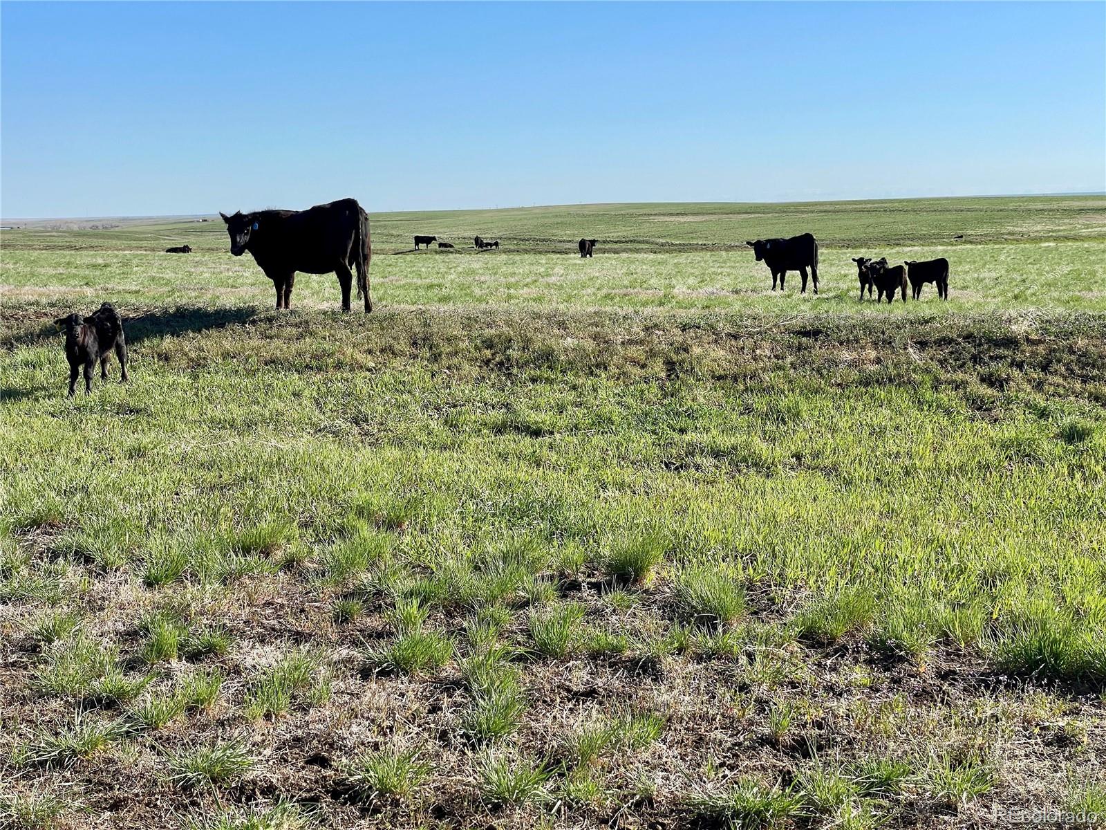 County Road 125 Deer Trail CO 80105