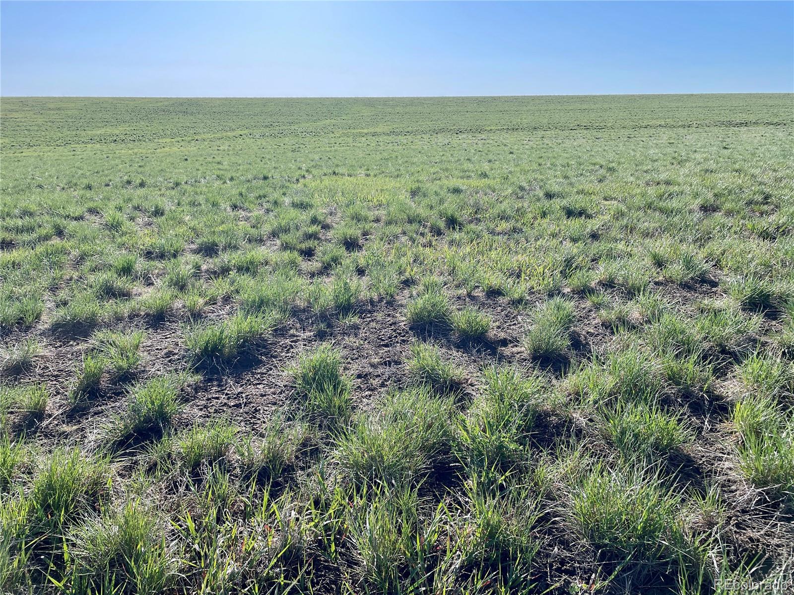 County Road 125 Deer Trail CO 80105