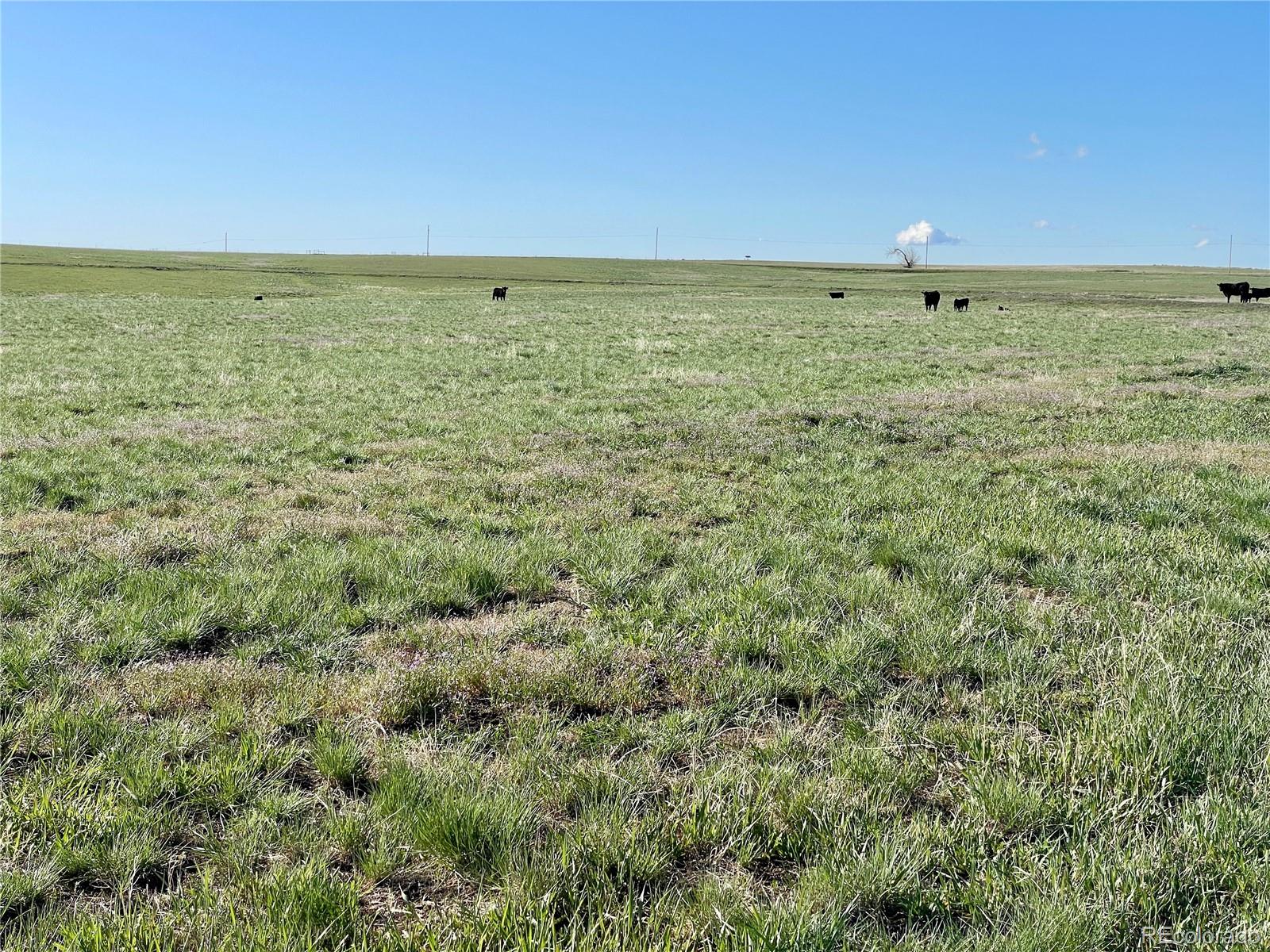 County Road 125 Deer Trail CO 80105