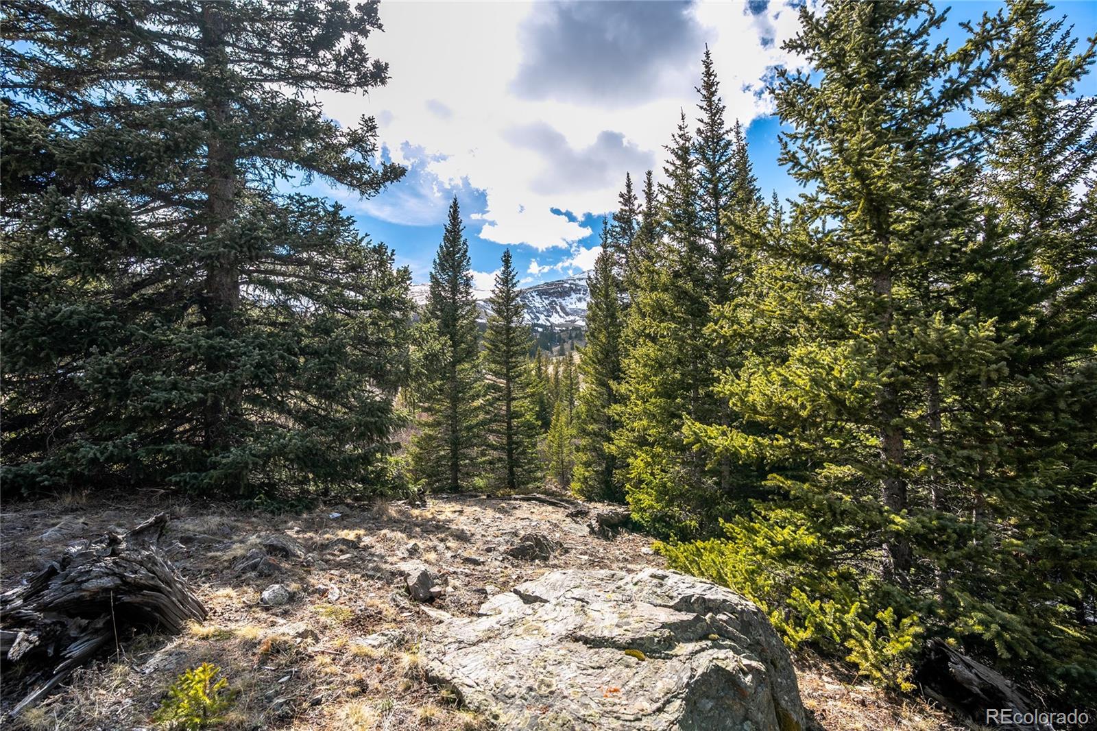 199 Zinc Road Alma CO 80440