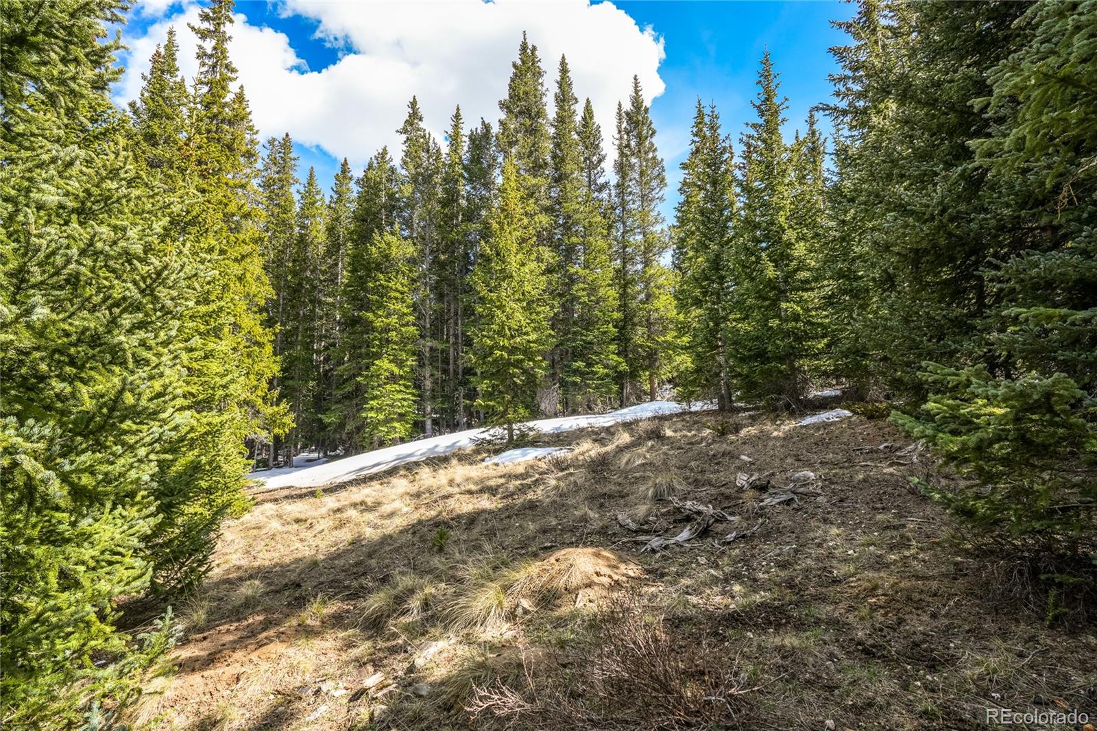 199 Zinc Road Alma CO 80440