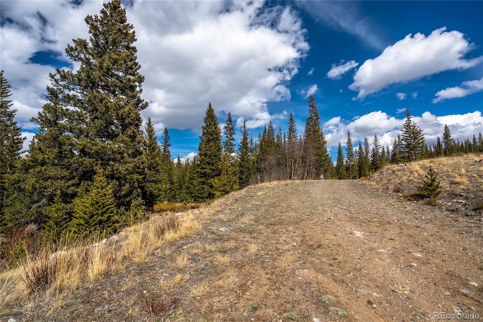 199 Zinc Road Alma CO 80440