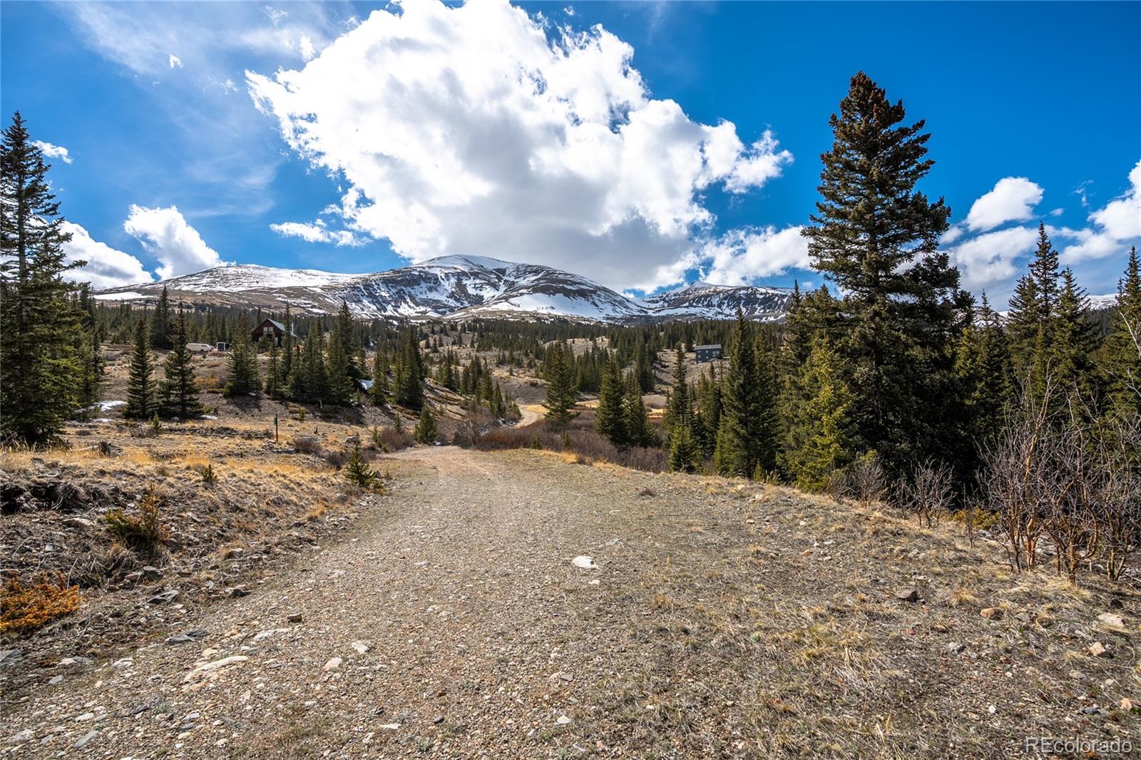 199 Zinc Road Alma CO 80440