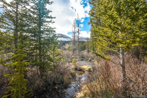 199 Zinc Road Alma CO 80440