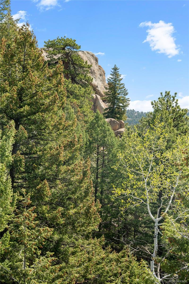6361 Canyon Creek Road Evergreen CO 80439