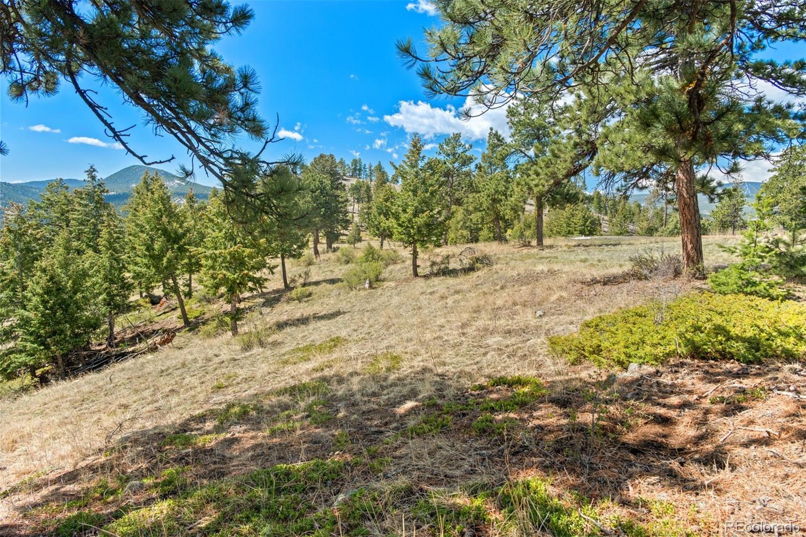 6361 Canyon Creek Road Evergreen CO 80439