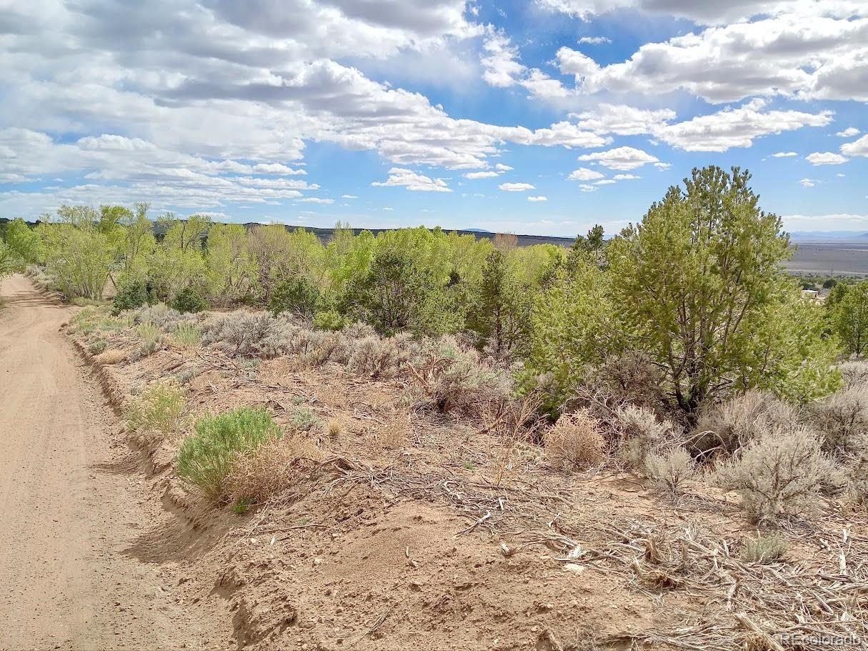 Lot 1258 Michaels Road Fort Garland CO 81133