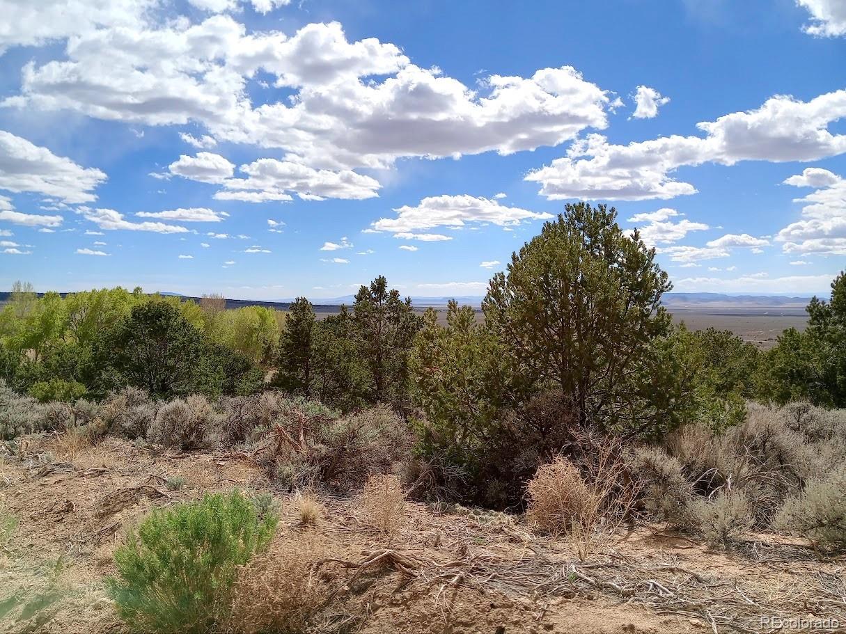 Lot 1258 Michaels Road Fort Garland CO 81133