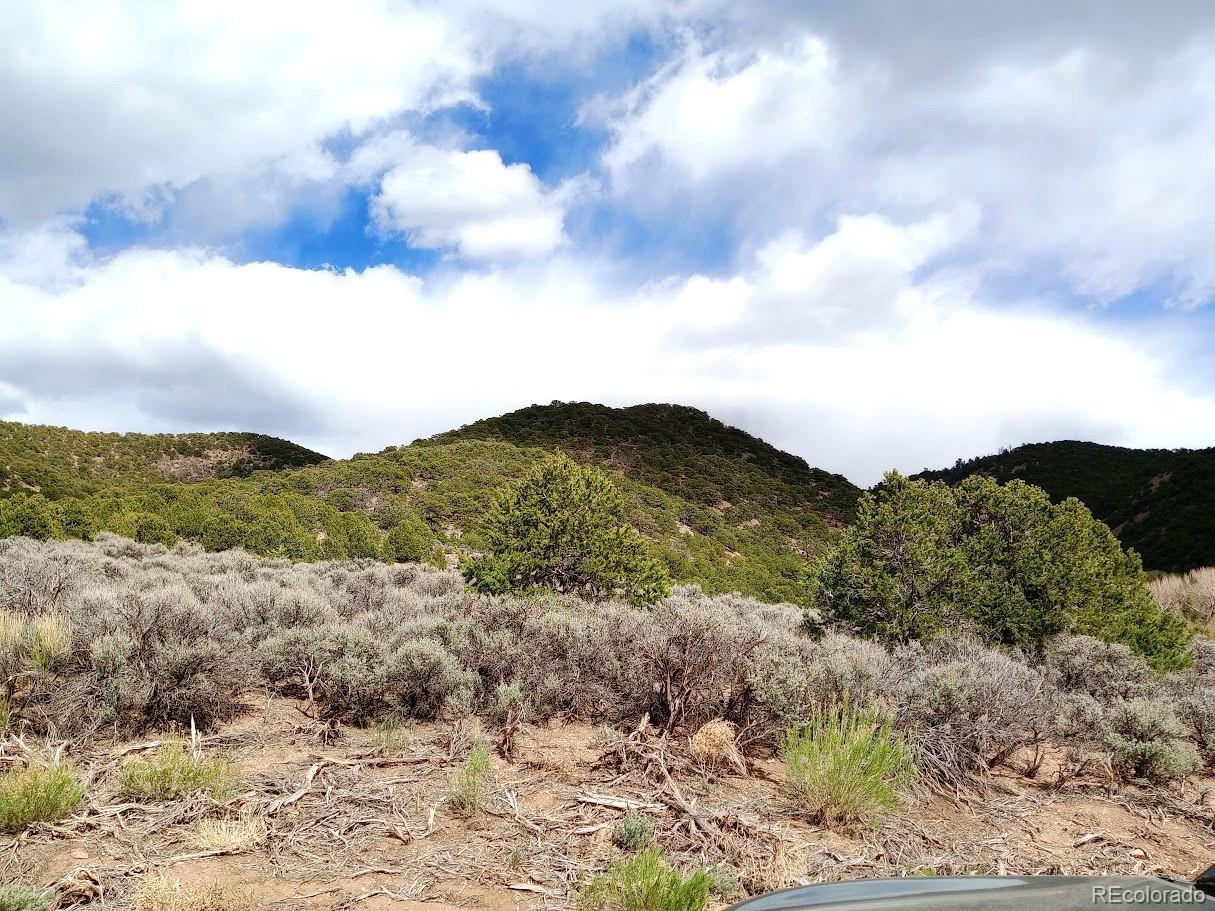 Lot 1258 Michaels Road Fort Garland CO 81133
