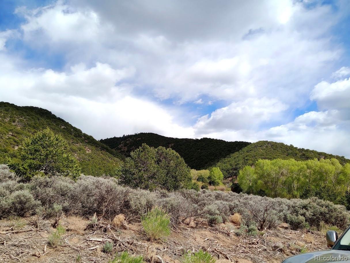 Lot 1258 Michaels Road Fort Garland CO 81133