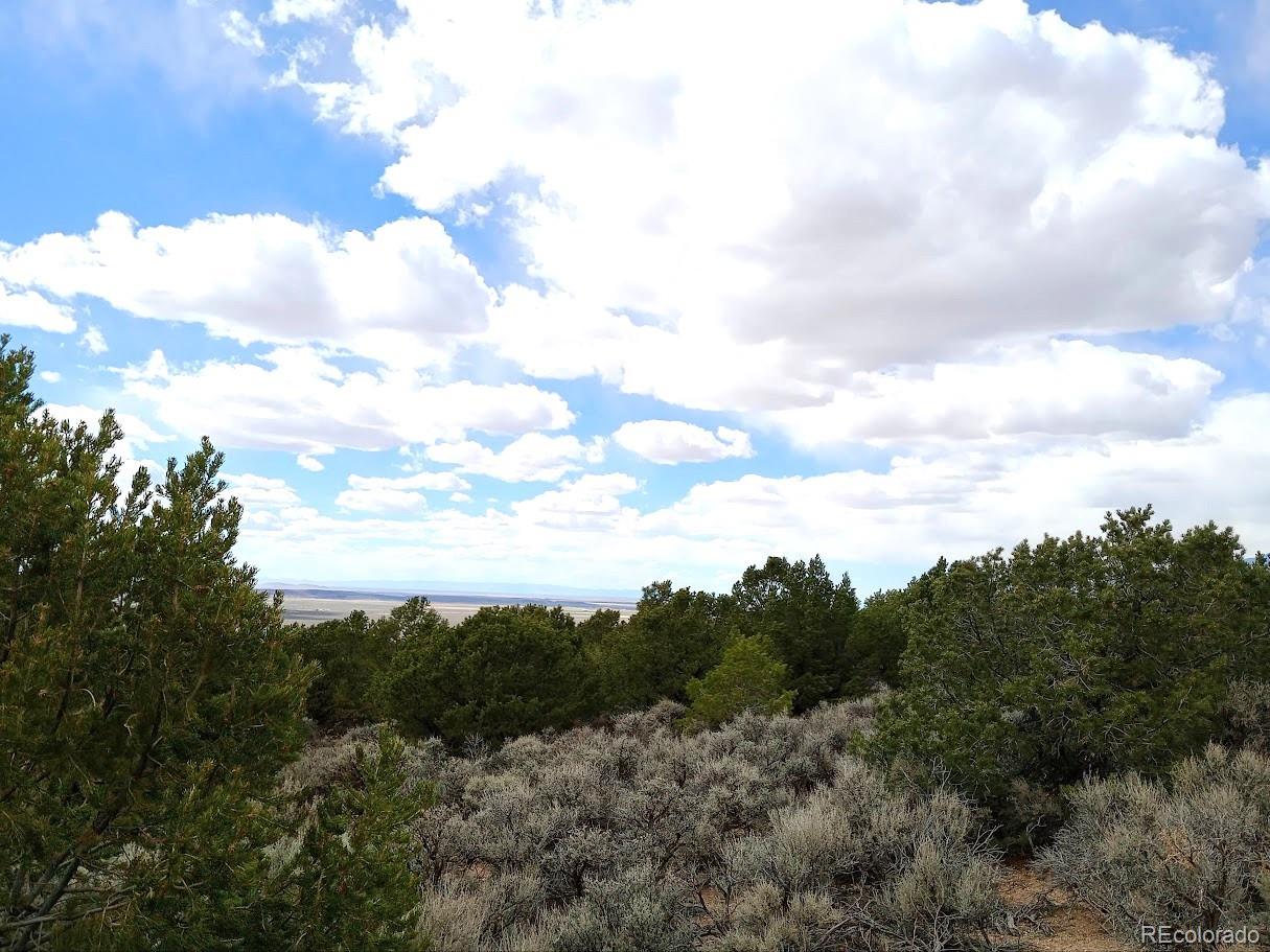 Lot 1258 Michaels Road Fort Garland CO 81133