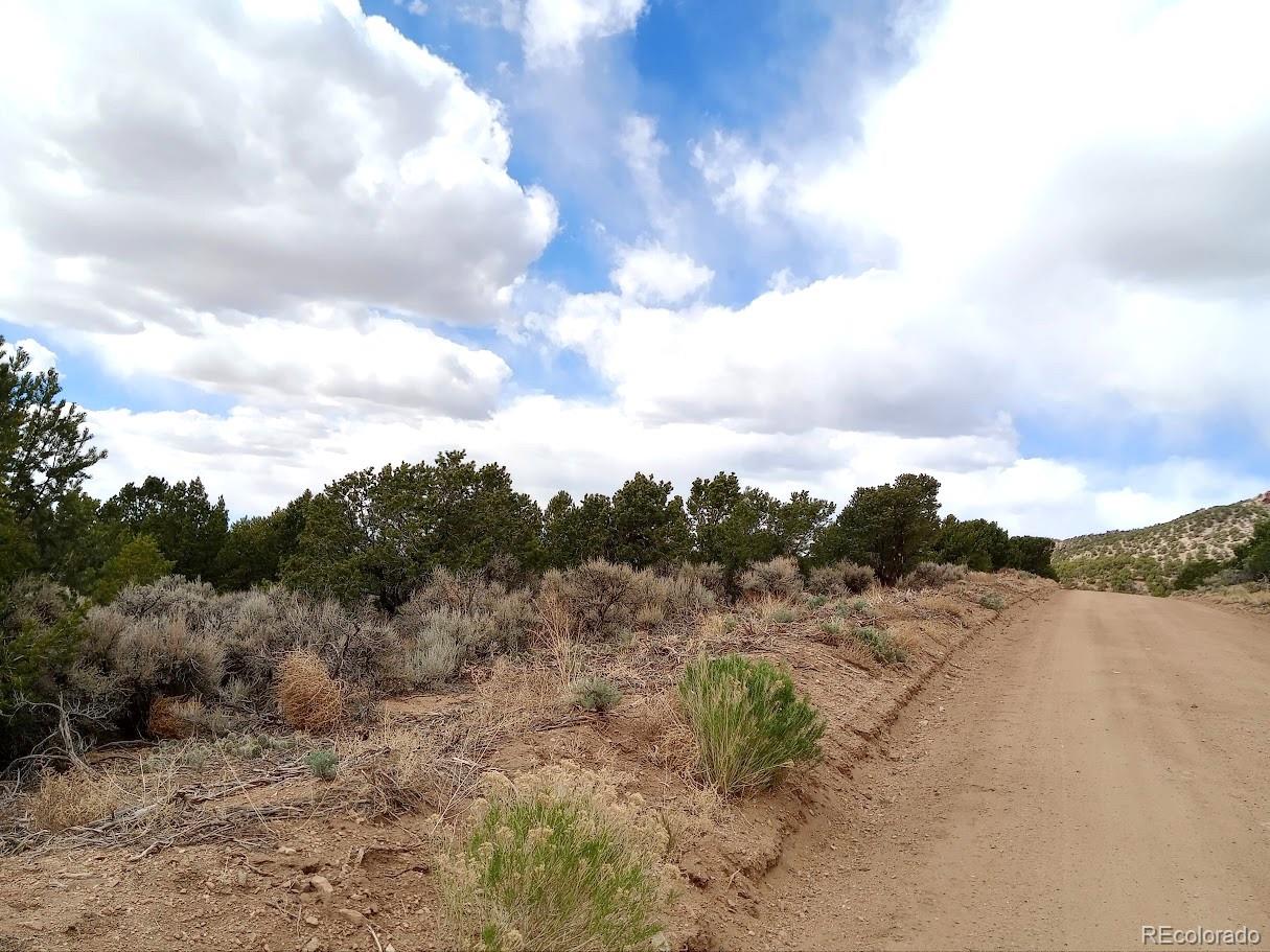 Lot 1258 Michaels Road Fort Garland CO 81133