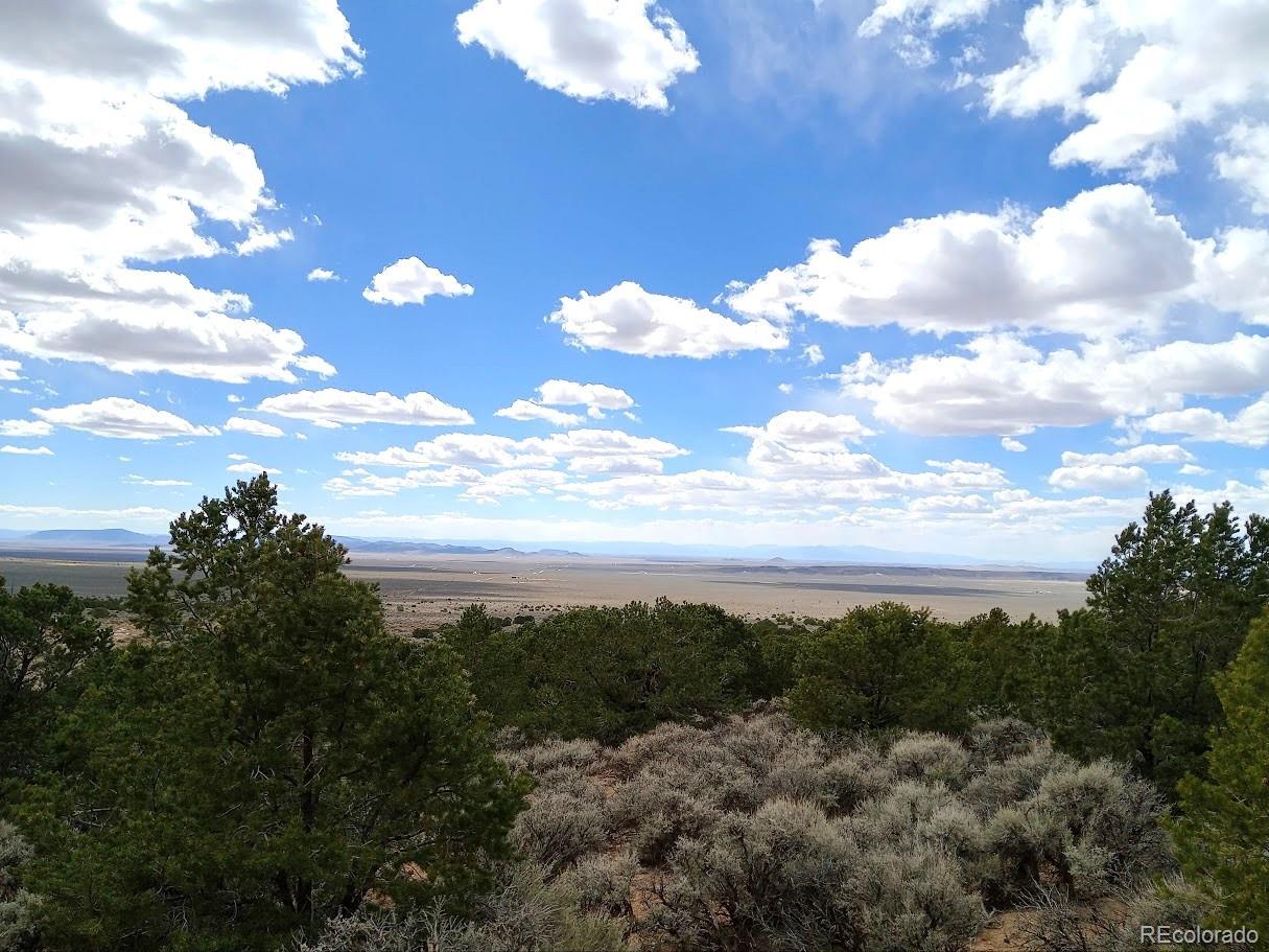 Lot 1258 Michaels Road Fort Garland CO 81133