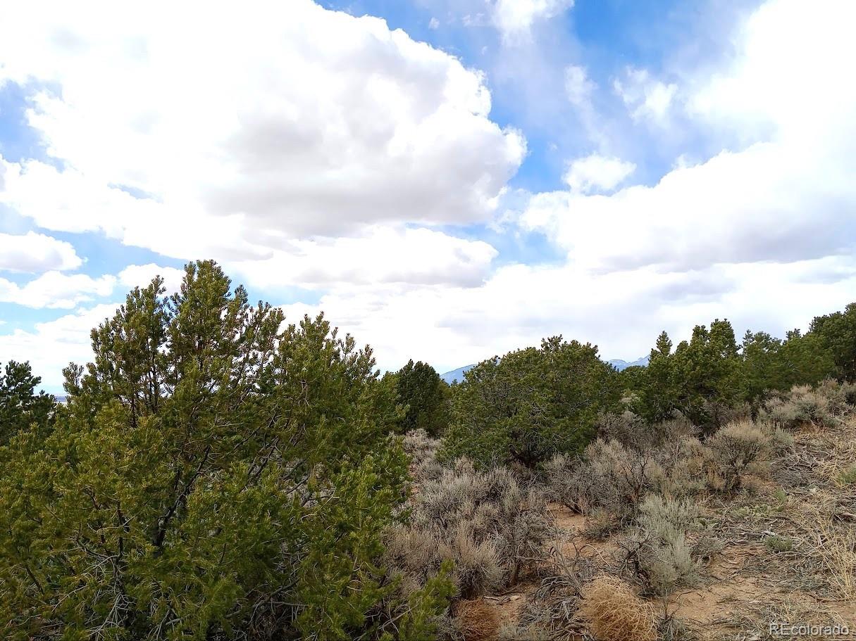 Lot 1258 Michaels Road Fort Garland CO 81133