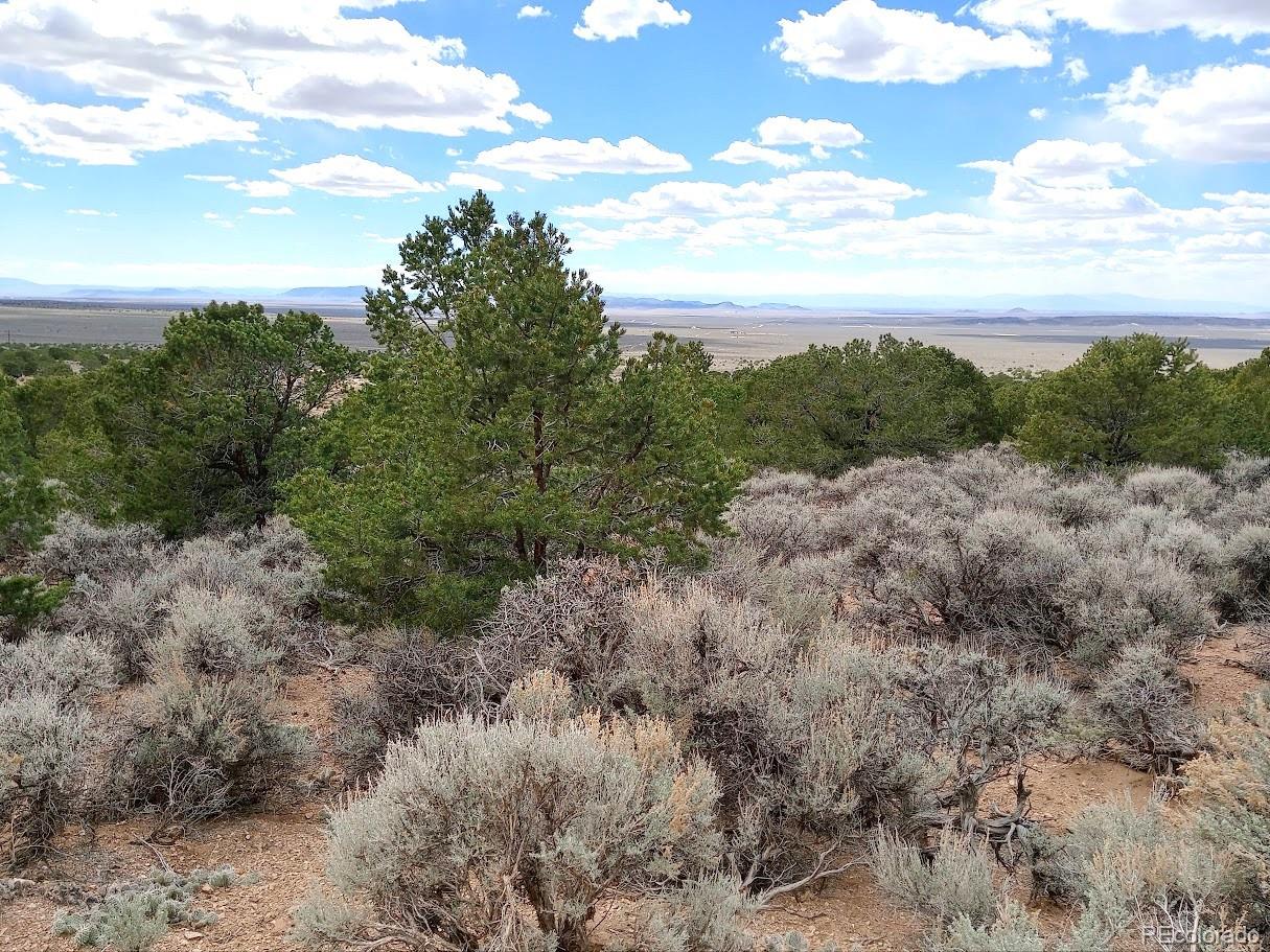 Lot 1258 Michaels Road Fort Garland CO 81133