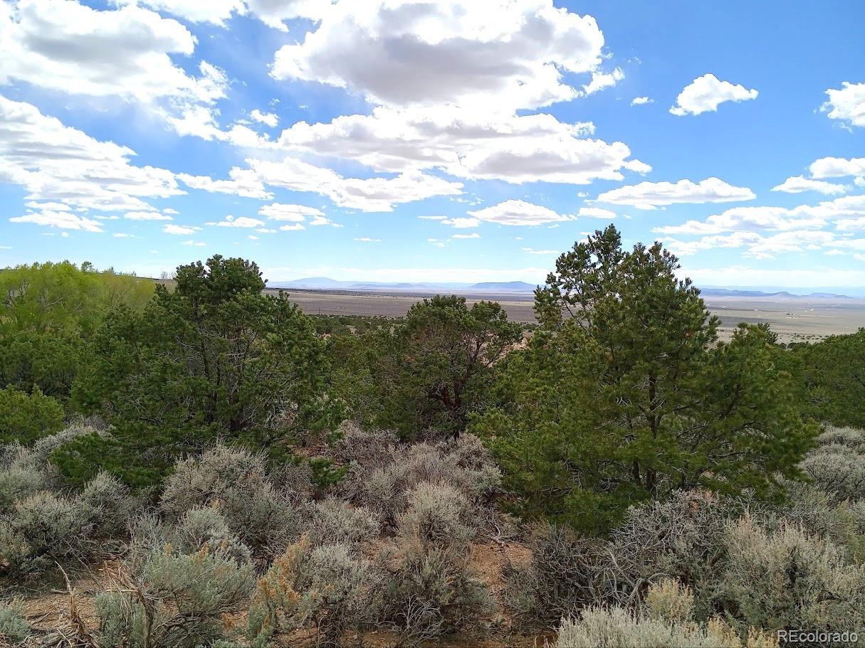 Lot 1258 Michaels Road Fort Garland CO 81133