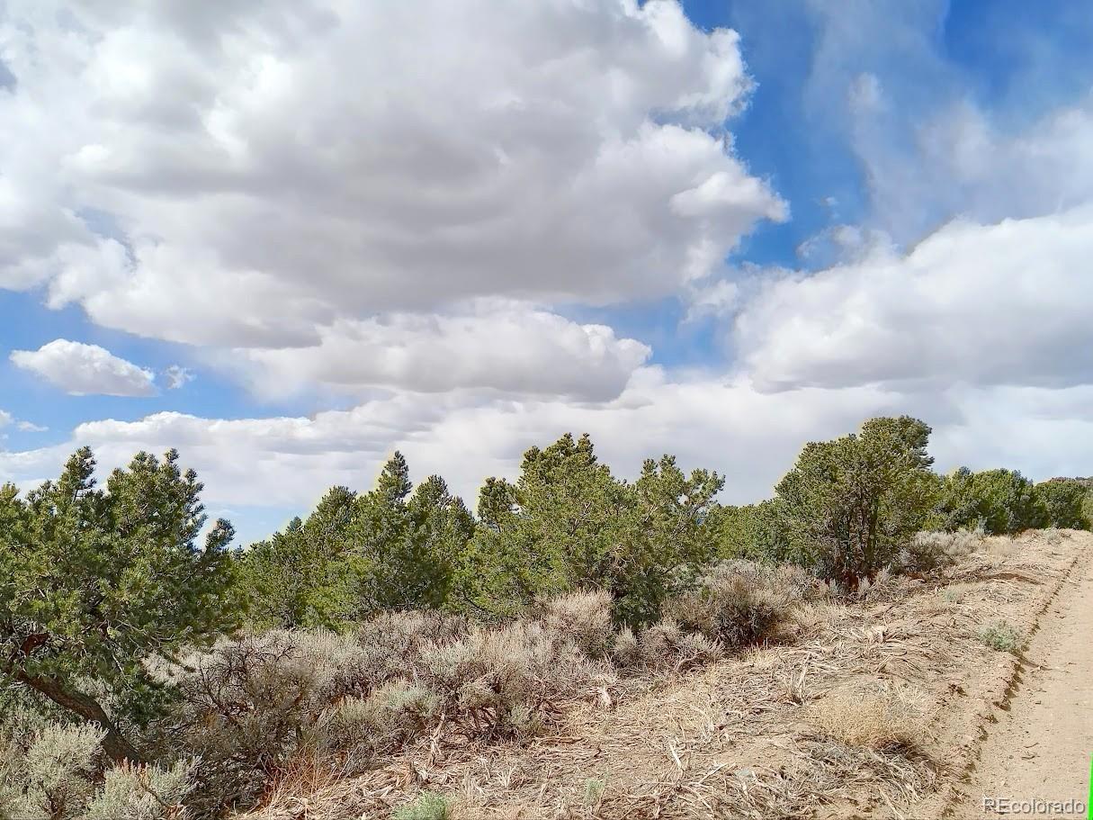 Lot 1258 Michaels Road Fort Garland CO 81133
