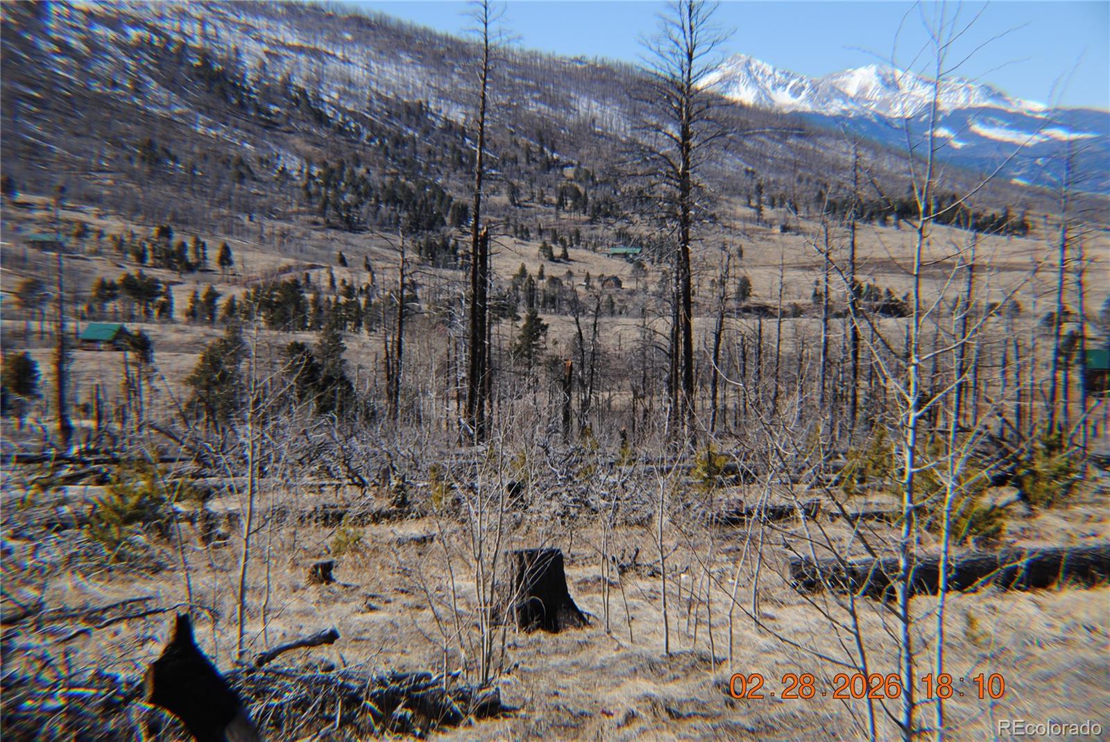 1043 Saul Place Fort Garland CO 81133