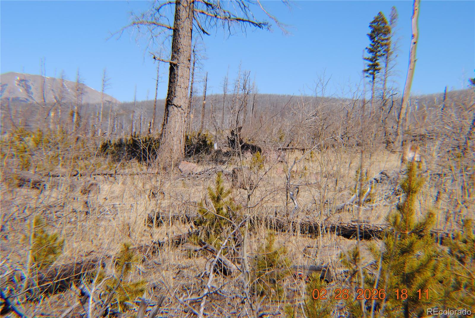 1043 Saul Place Fort Garland CO 81133