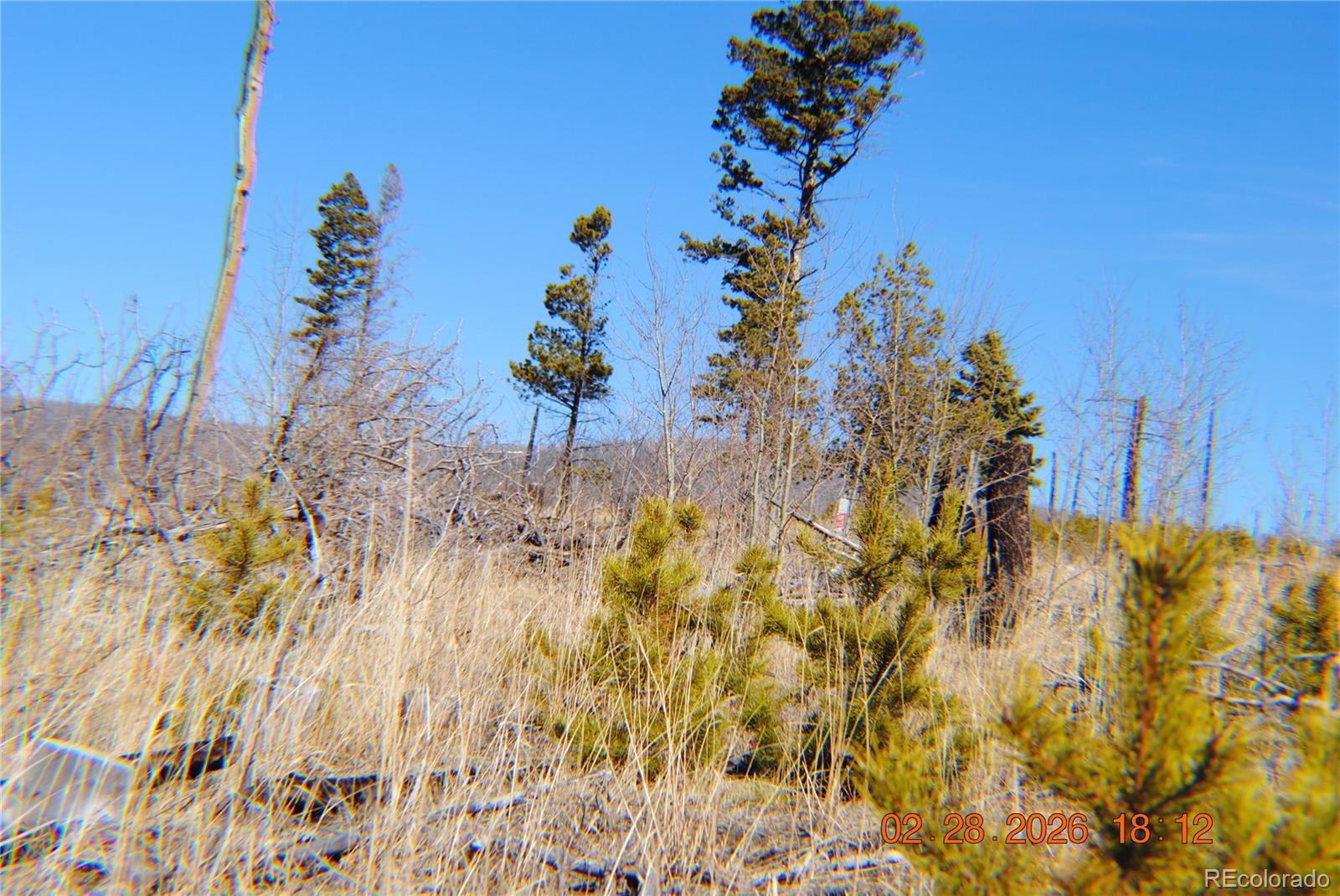 1043 Saul Place Fort Garland CO 81133