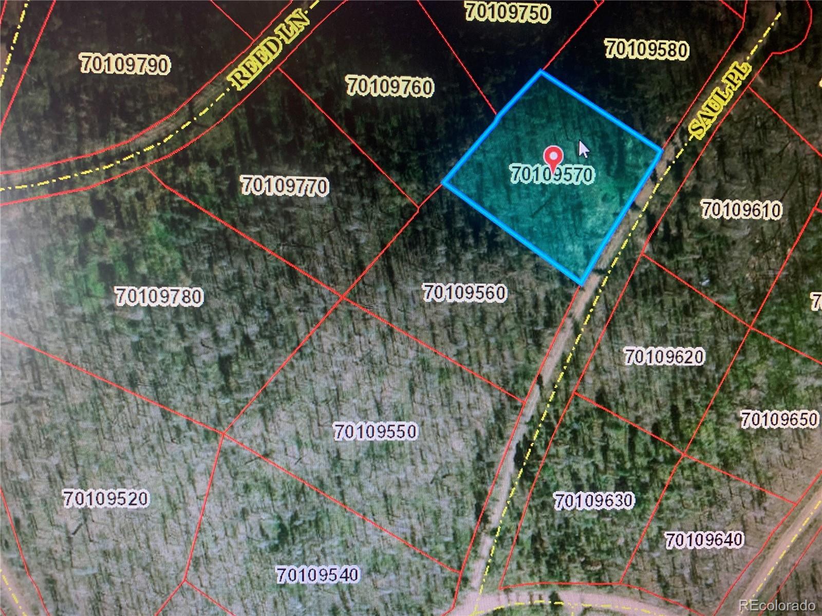 1043 Saul Place Fort Garland CO 81133