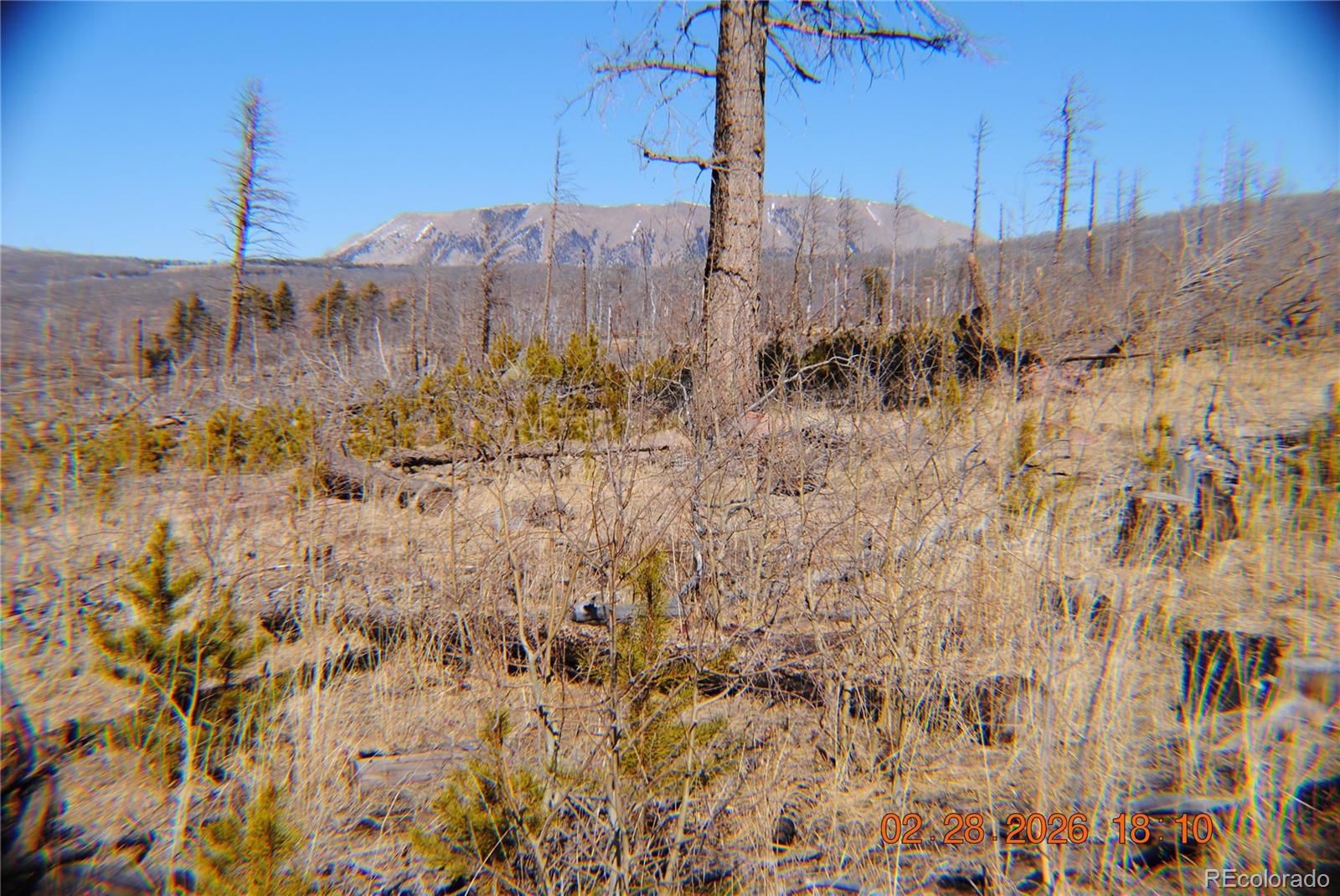 1043 Saul Place Fort Garland CO 81133