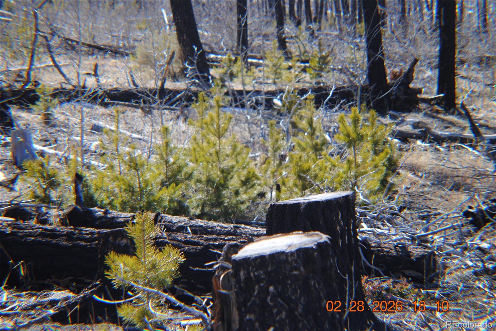 1043 Saul Place Fort Garland CO 81133