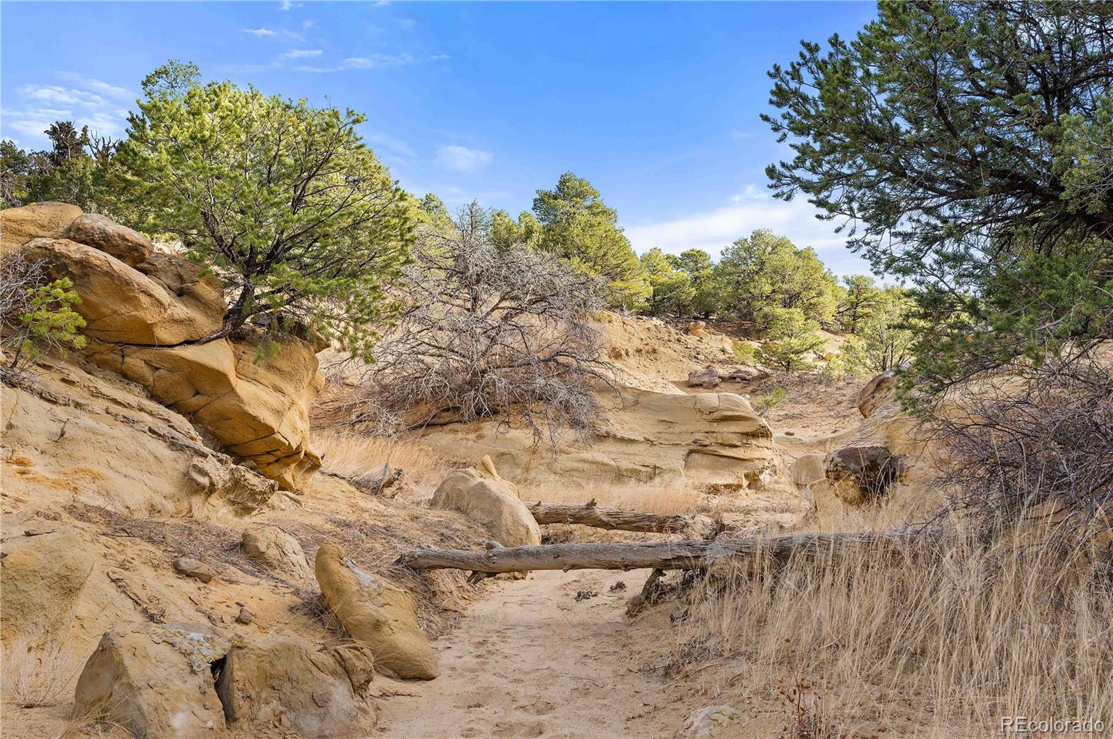 Lot 31 County Road 521 Walsenburg CO 81089