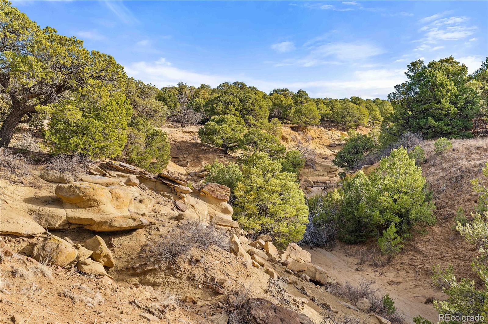 Lot 31 County Road 521 Walsenburg CO 81089