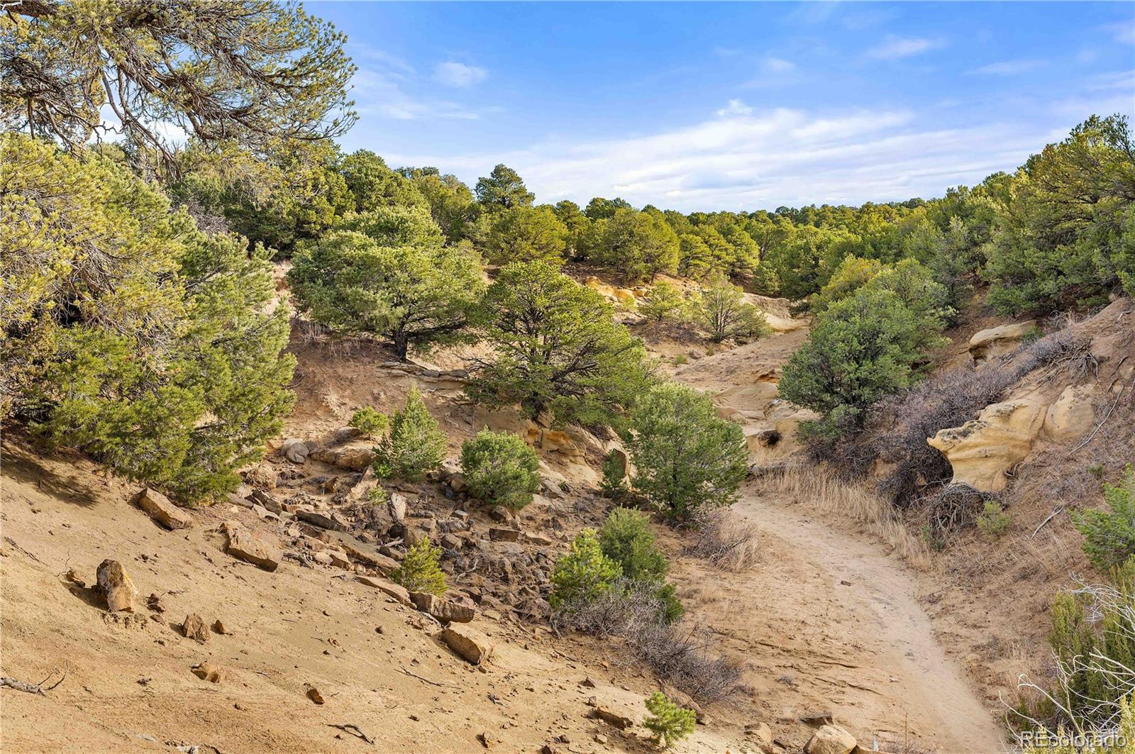 Lot 31 County Road 521 Walsenburg CO 81089