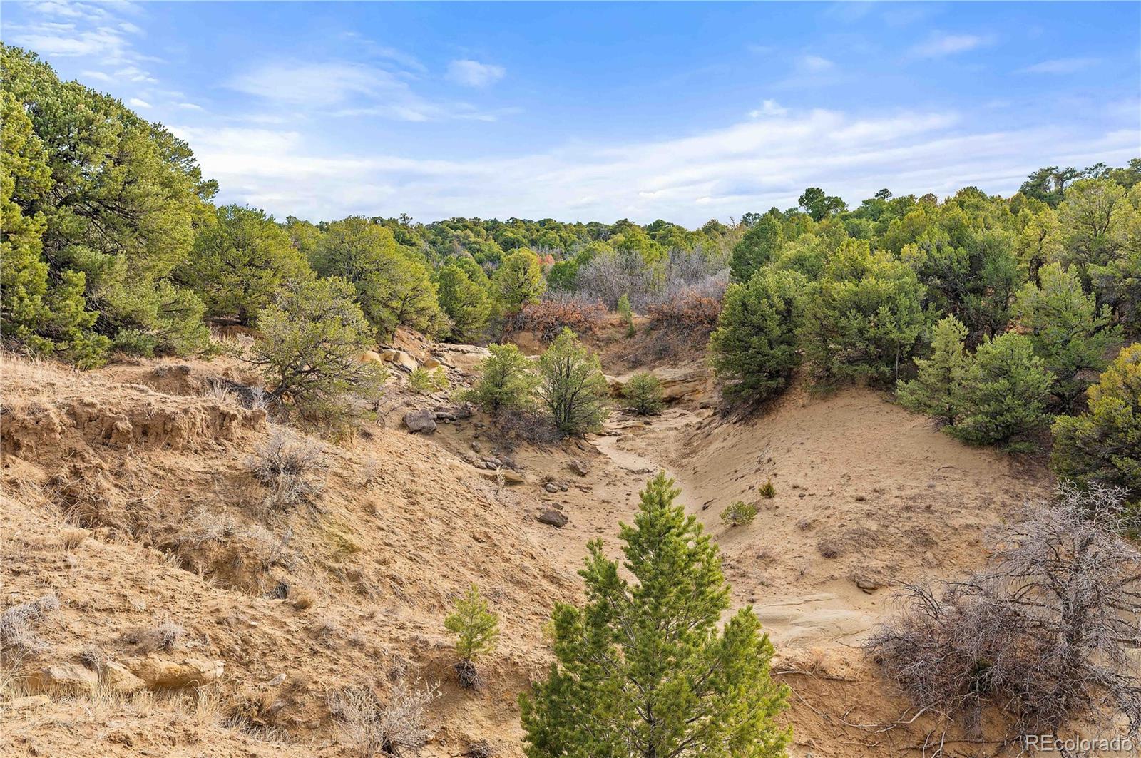 Lot 31 County Road 521 Walsenburg CO 81089