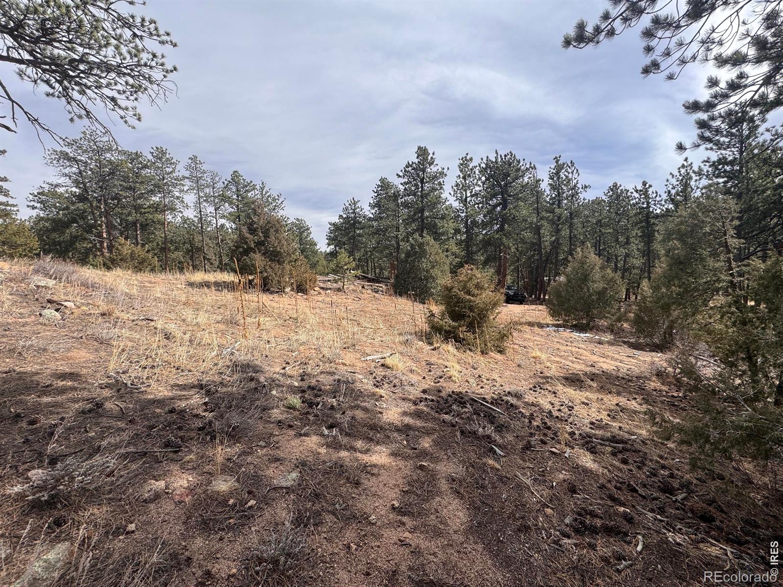 0 Cedar Drive Lyons CO 80540